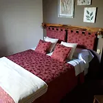 Posada De Los Pajaros