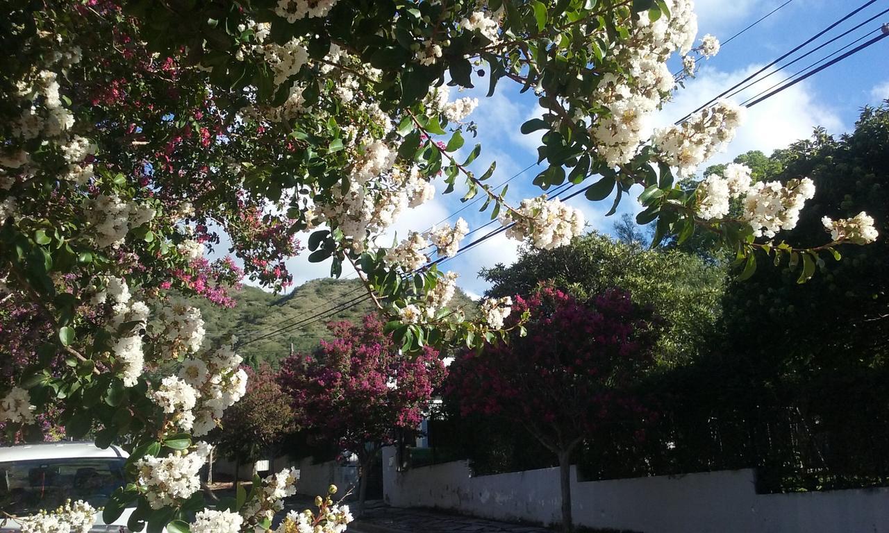 De Los Pajaros Inn *